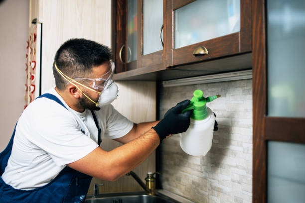Reliable Eufaula, AL Pest Control Solutions