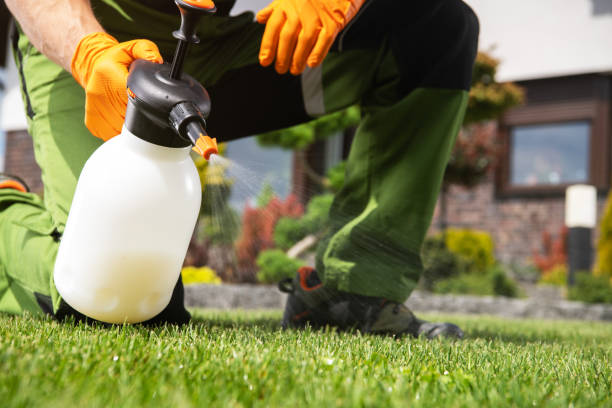 Best Cockroach Control Services  in Eufaula, AL
