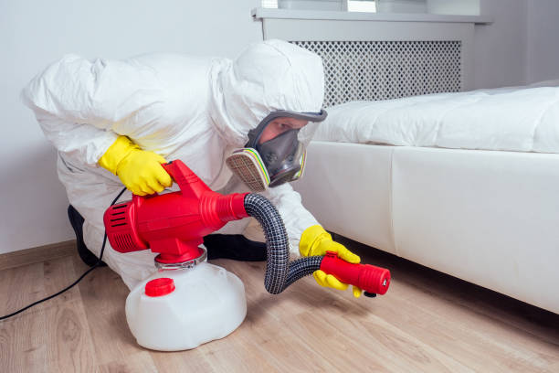 Best Flea Control Services  in Eufaula, AL