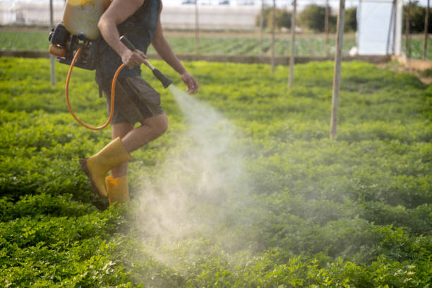 Best Affordable Pest Control Services  in Eufaula, AL