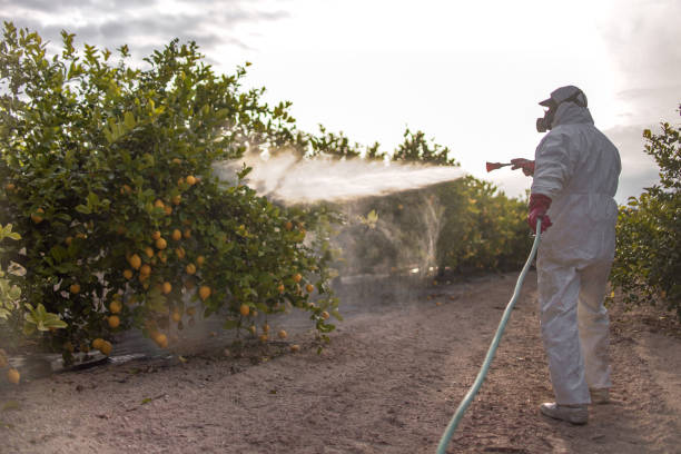 Best Emergency Pest Control  in Eufaula, AL