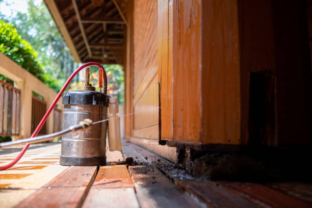 Best Ant Control Services  in Eufaula, AL