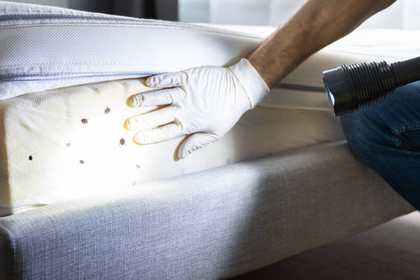 Best Best Pest Control Companies  in Eufaula, AL