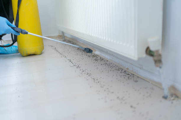 Best Pest Control Treatment  in Eufaula, AL