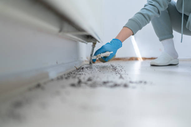 Best Pest Control Near Me  in Eufaula, AL